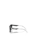 Emporio Armani - Emporio Armani Men's Sunglasses