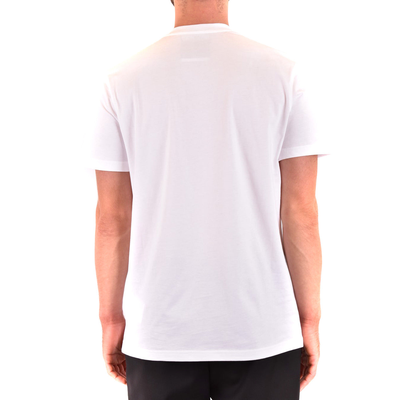 Alternativní text obrázku