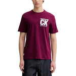 Calvin Klein - Calvin Klein Tričko Pánské