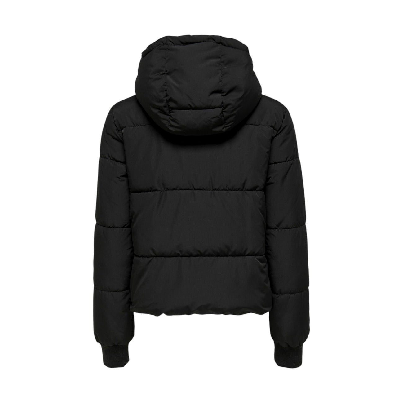 Alternativní text obrázku
