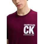 Calvin Klein - Calvin Klein Tričko Pánské