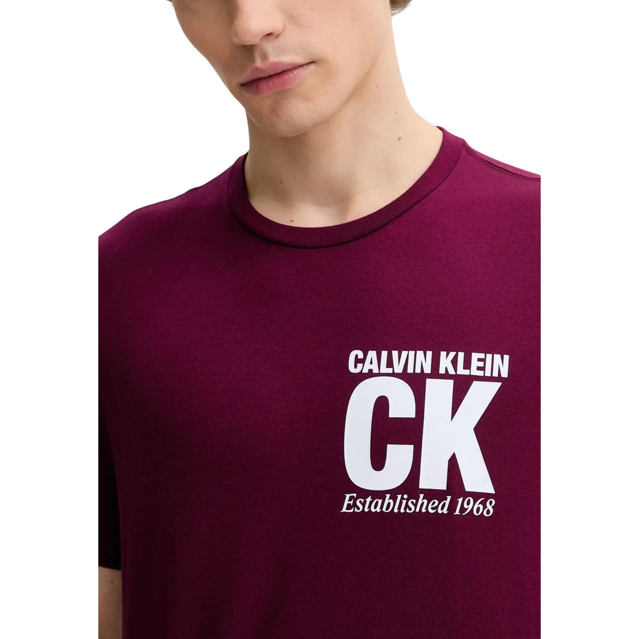 Calvin Klein - Calvin Klein Tričko Pánské