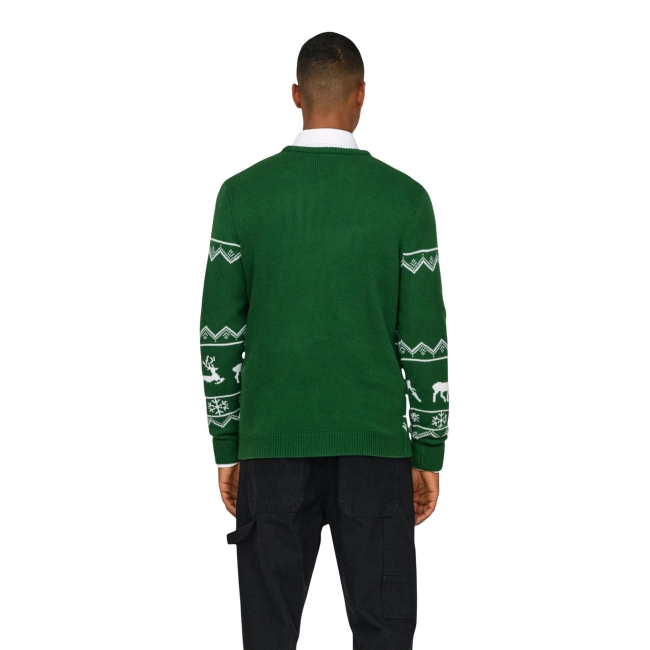 Alternativní text obrázku
