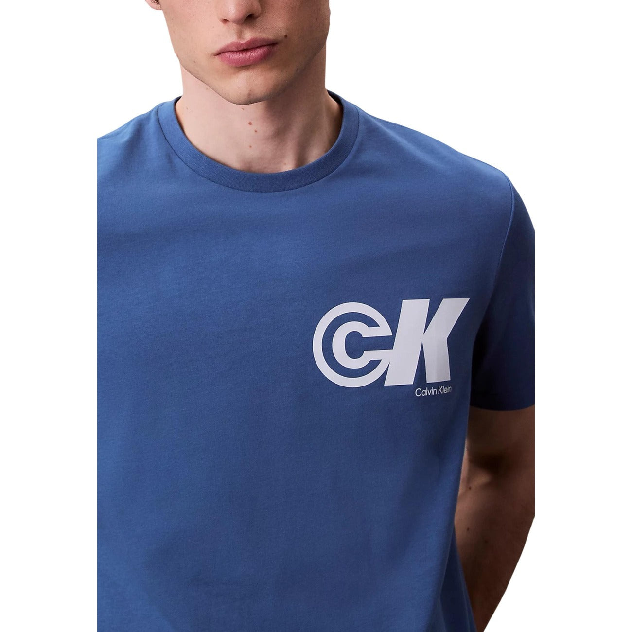 Alternativní text obrázku