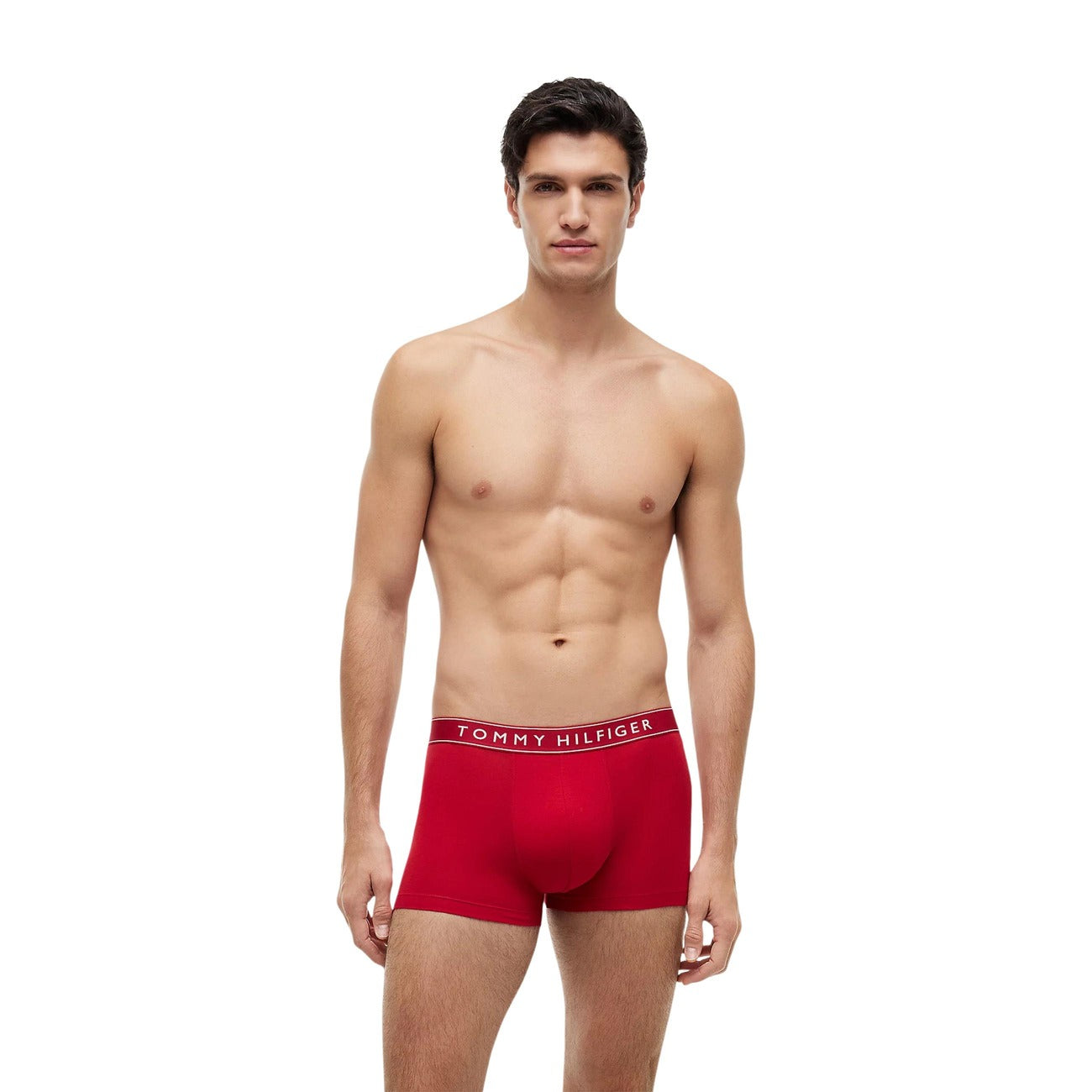 Tommy Hilfiger - Tommy Hilfiger Spodní Prádlo Pánské