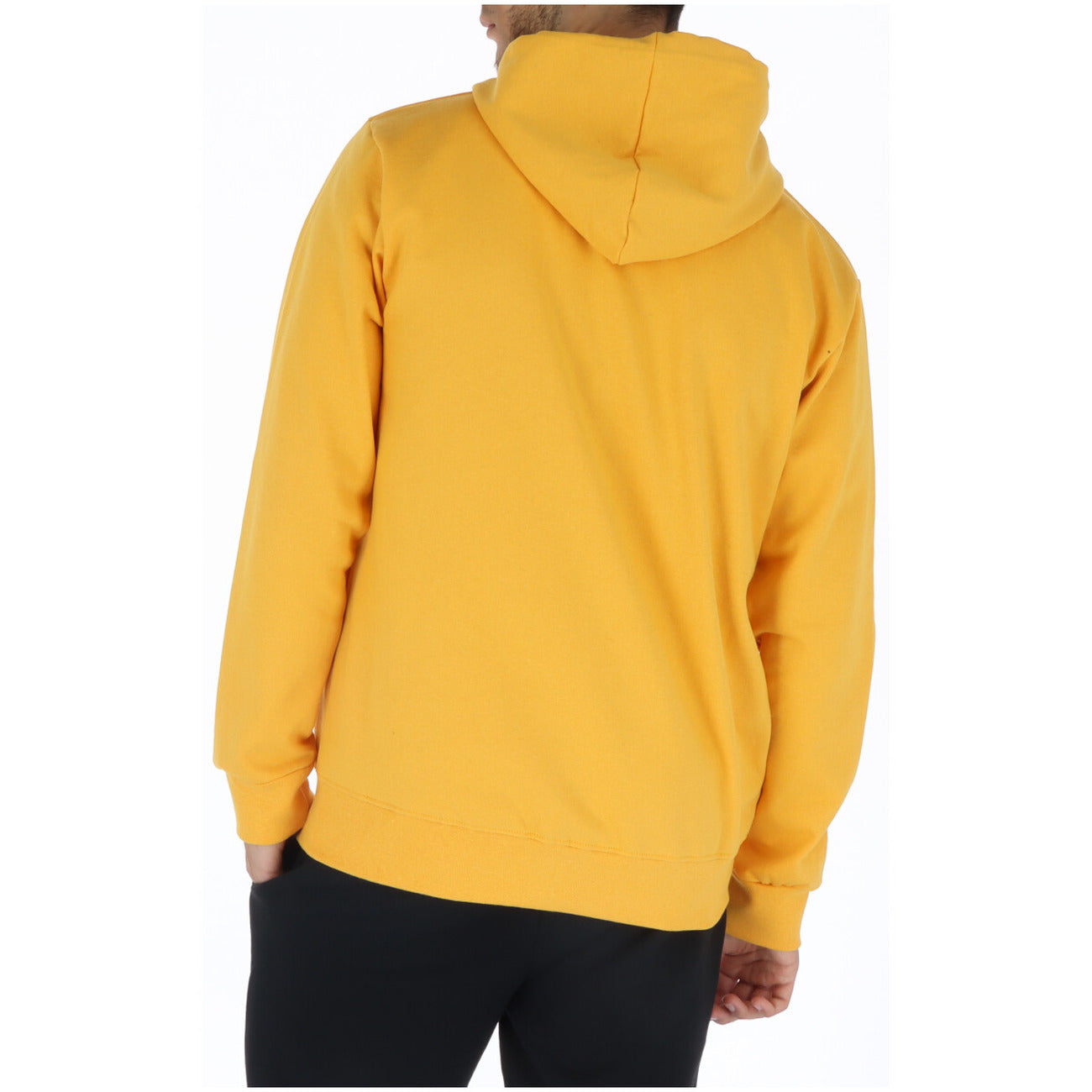 Image alt